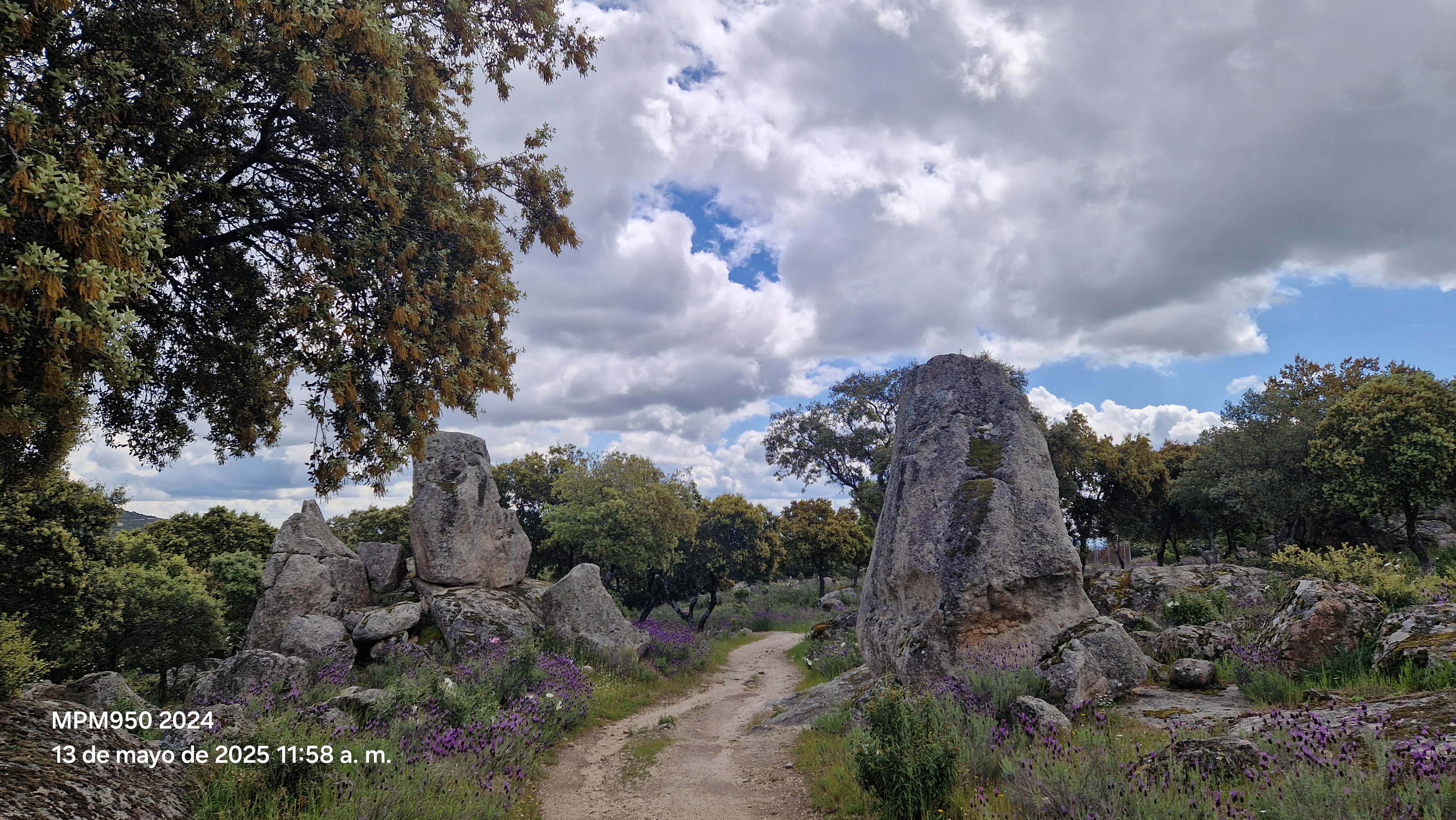 Foto de la ruta