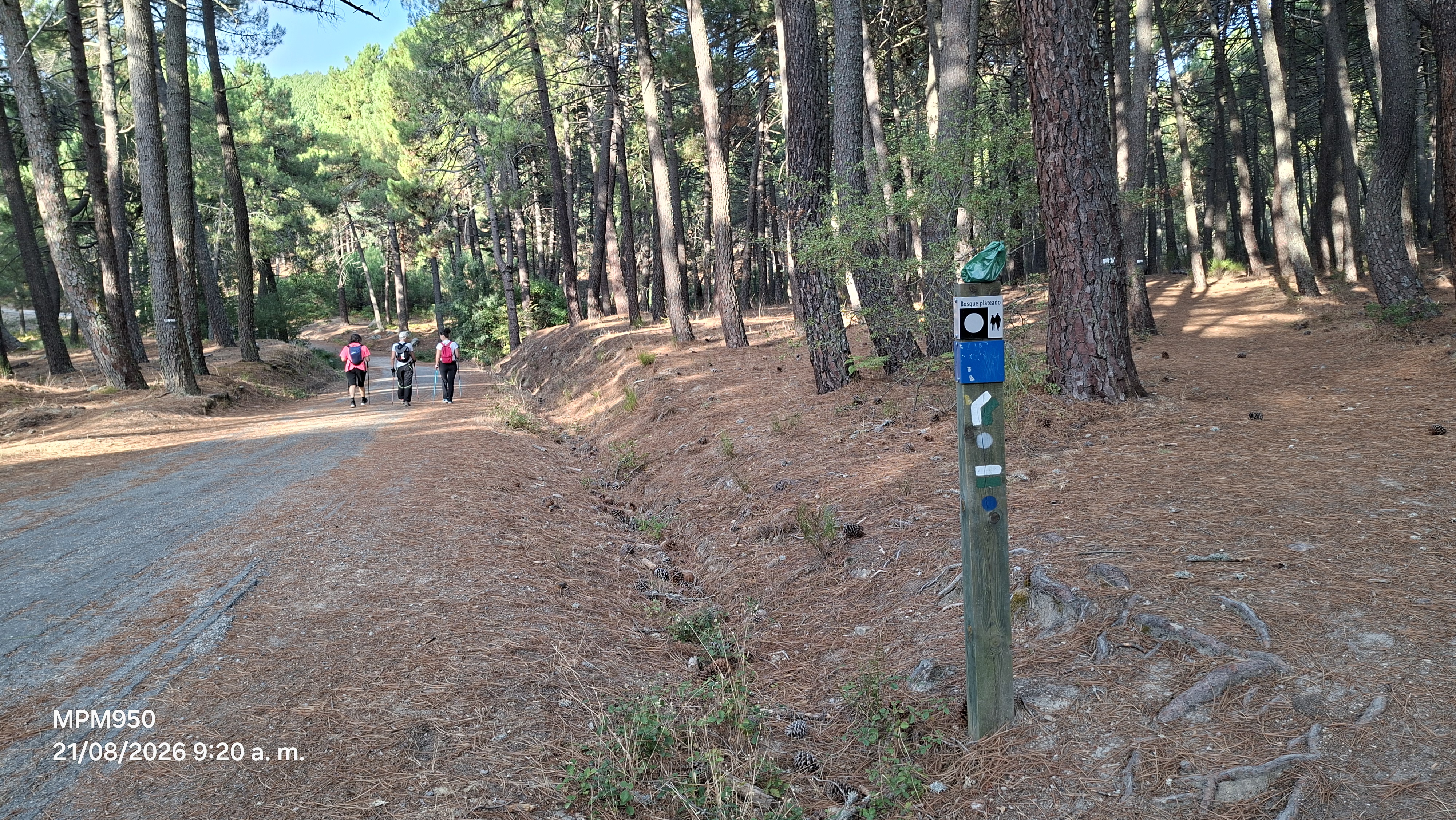 Imagen de ruta