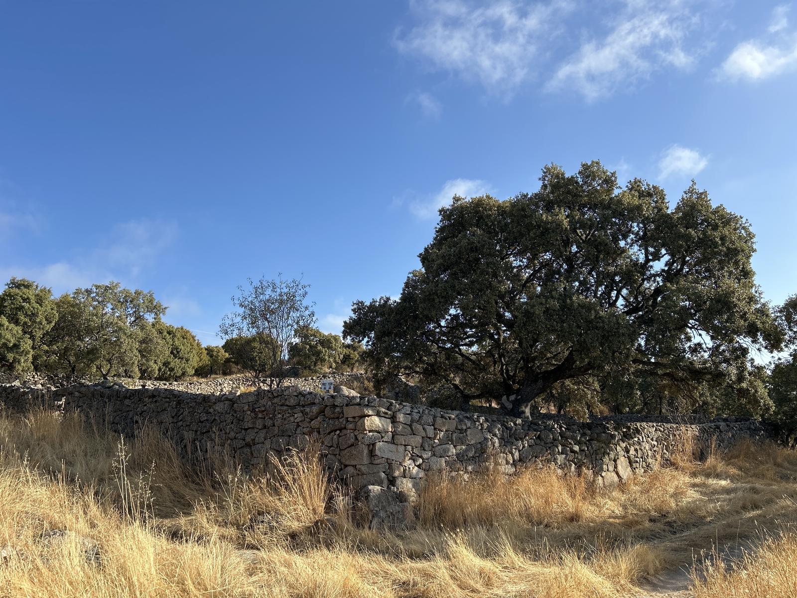 Foto de la ruta