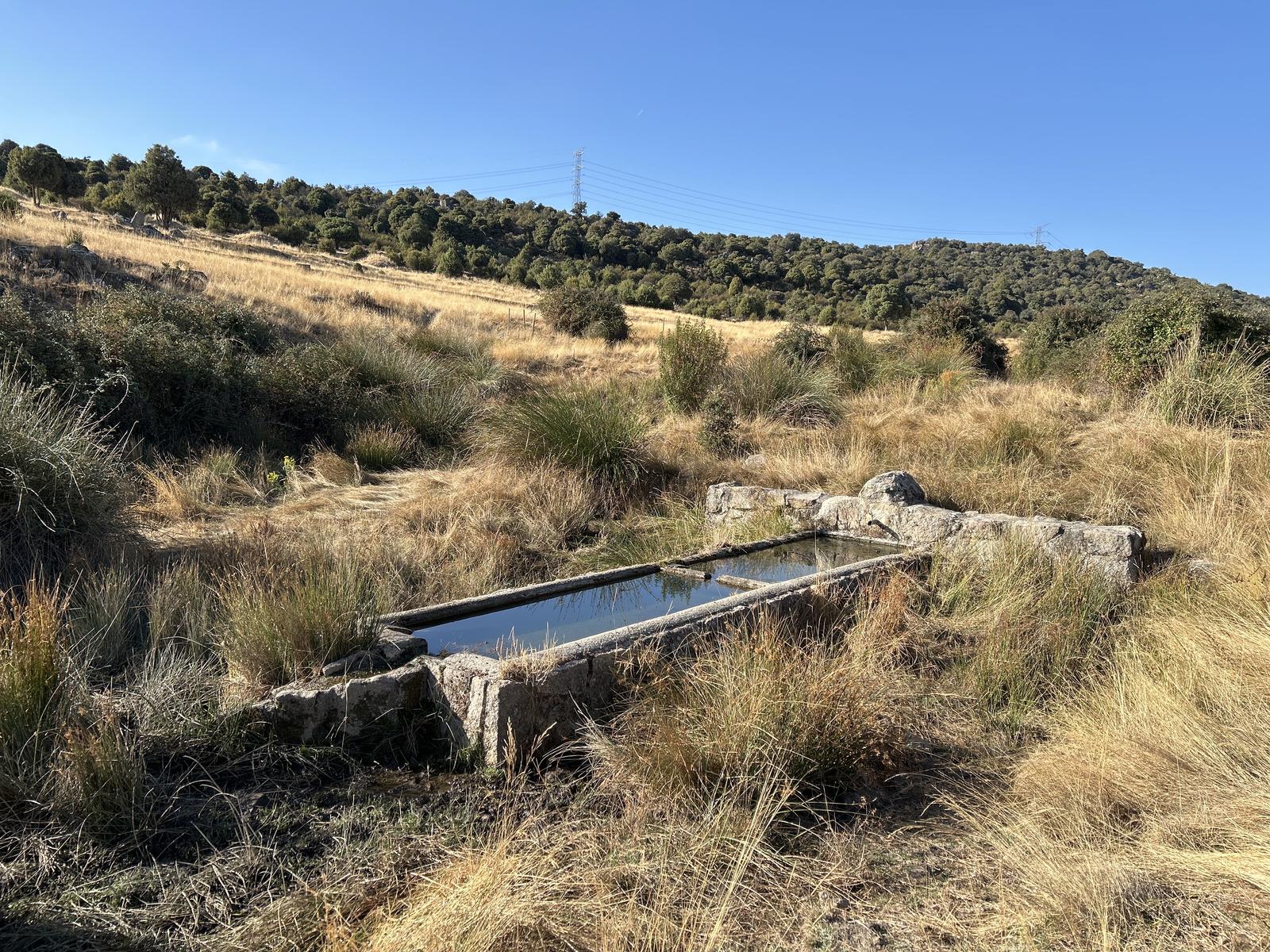 Foto de la ruta