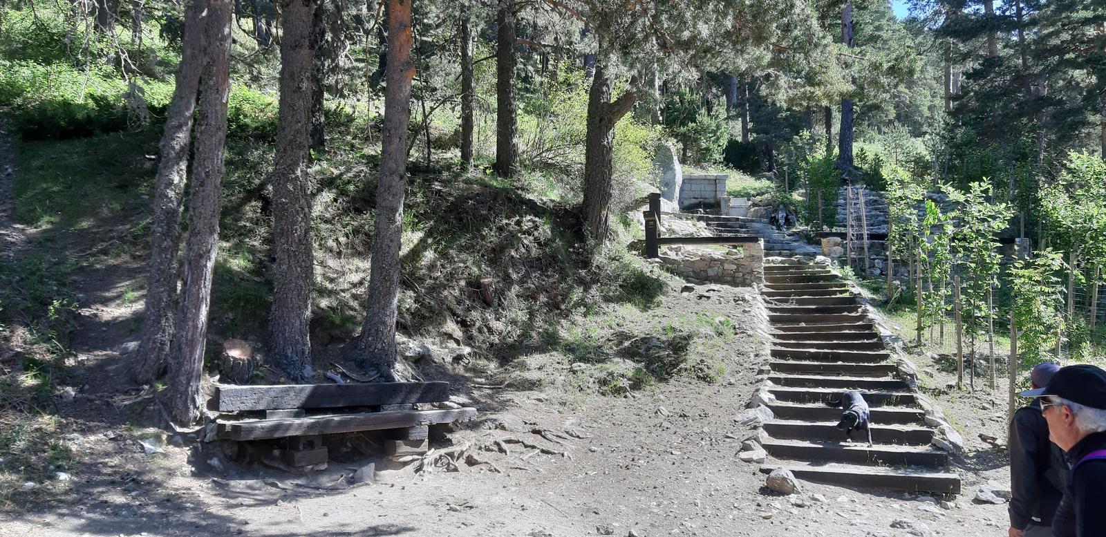Foto de la ruta