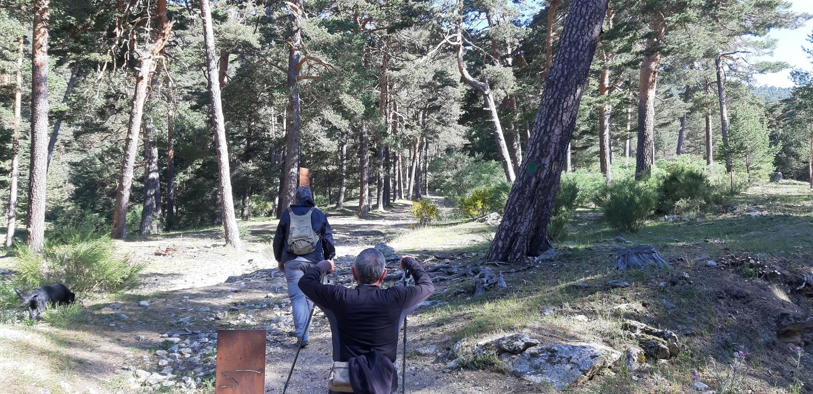 Foto de la ruta